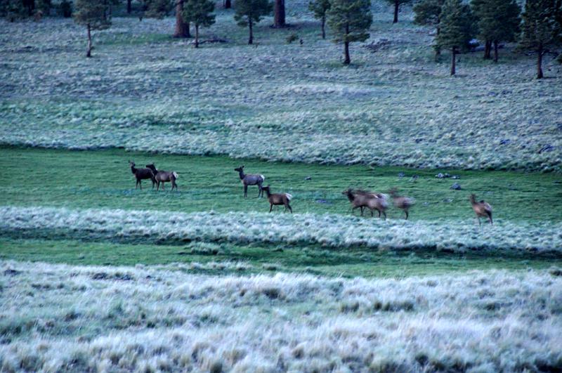 1006111937-Baldy 113.jpg